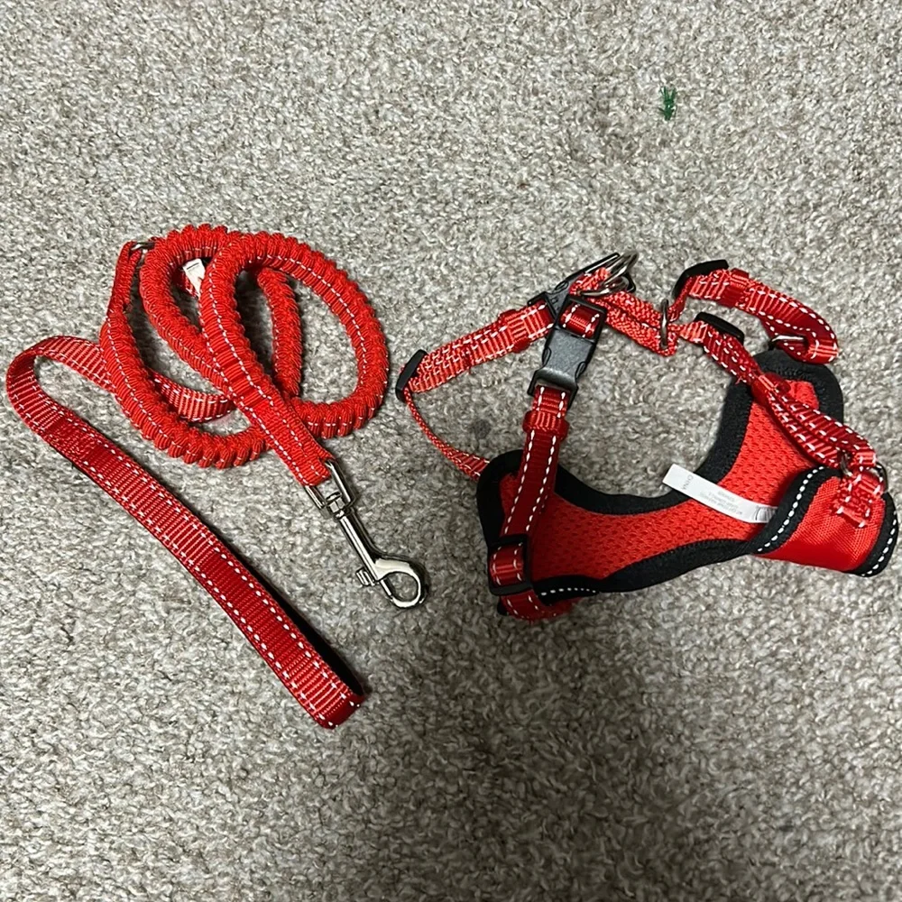 Cat harness and leash